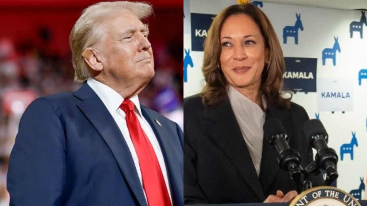 Donald Trump vs Kamala Harris